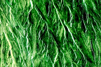 AP 172A1